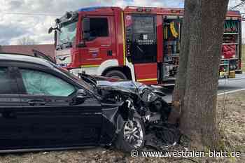Schwerverletzt: Mercedes prallt gegen Baum