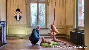 Myriam Lombaert exposeert haar abstracte vormen: “Je hoeft er niets in te zien, zolang je maar iets voelt”