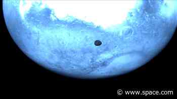 ESA's Hera probe trains its cameras at Mars' moon Deimos  | Space photo of the day March 13, 2025