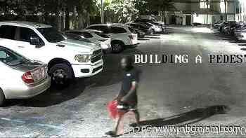 Video shows person suspected of setting car on fire in NE Miami-Dade: Sheriff