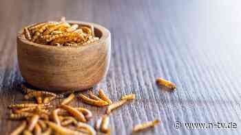 Krabbeltiere auf dem Teller?: Insekten in Lebensmitteln haben in Deutschland  schweren Stand