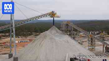 'We've got options' on critical minerals, Labor warns US