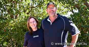 Agtech and equipment helps optimise couple's 10,000 head Dorper operation