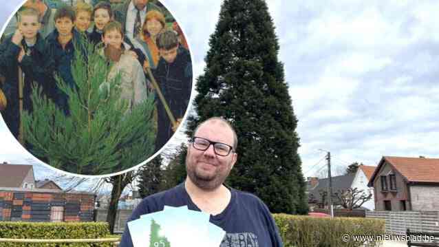 Hoe toenmalig burgemeester De Bie in Californië betoverd raakte door sequoia’s: Massenhoven viert kwarteeuw millenniumbomen