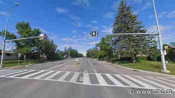 Calgary police make arrest in fatal hit and run from 10 months ago