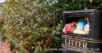 'Disgust' as bins overflowing in London park sees concern grow for summer months