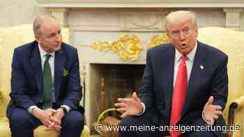 Trumps Handelskrieg: US-Präsident nimmt es mit EU auf – „Werden diese finanzielle Schlacht gewinnen“