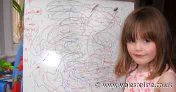 Unchecked 'toxic' land may have left Welsh star's child  'seriously ill'