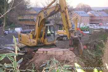 Property firm once fined £100k for chopping down 176-year-old giant redwood tree collapses