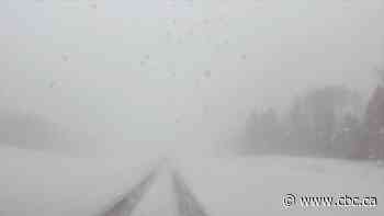 Winter wallop: Snowfall warning in effect for city of Edmonton