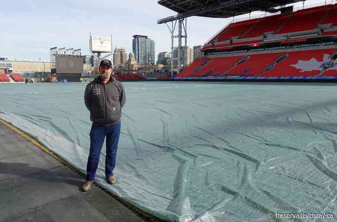 BMO Field playing surface ‘looking good’ ahead of Toronto FC home opener Saturday
