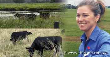 Assessing your winter feed gap - how to transition from summer senescence