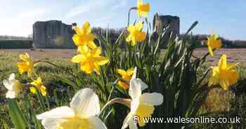 Met Office weekend weather forecast for Wales