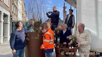 Verloederde bloempotten op Grote Markt gevuld met bomen