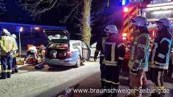 Ohof: Fünfköpfige Familie kracht mit Pkw gegen Baum