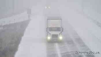 Non-profit aims to prevent labour trafficking in Manitoba's migrant-reliant trucking industry