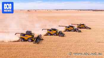 Elders merger sparks concerns of market monopoly for farmers