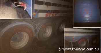 NSW Farmers have condemned activist attacks targeting livestock carriers across southern NSW