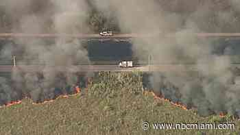 Crews fight brush fire in southwest Miami-Dade