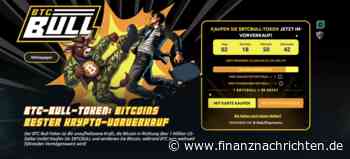 Kryptomarkt: Experte widerspricht Bärenmarkt-Ängsten trotz Kurskorrektur