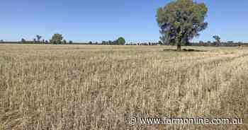 Versatile central west prime lamb operation on the market for $1.7 million