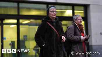 Pair deny charges after Darwin grave spray-painted
