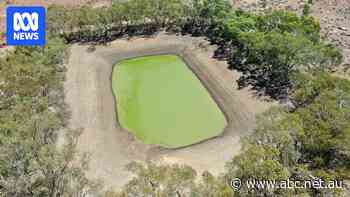 Rain brings relief to outback town on the brink of running out of water
