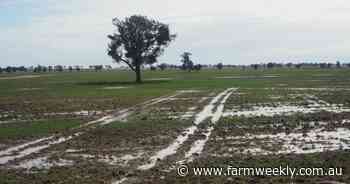 Heavy rain drenches Great Southern region