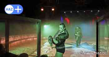 Cirkus Belly: Linke und Piraten kritisieren Wildtiere im Zirkus