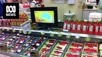 US meat trade days away from getting 'kicked out' of China