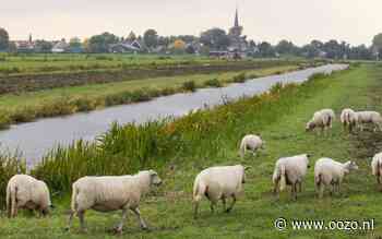 Meeste gasloze woningen van de Biblebelt in Waddinxveen