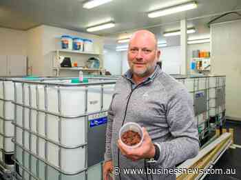 Deal to grow seaweed in salty mine pits