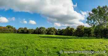 Meeting to present findings about solar park plans on Neston industrial estate