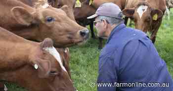 Focus on milk boosts sustainability for South Australian dairy farmers