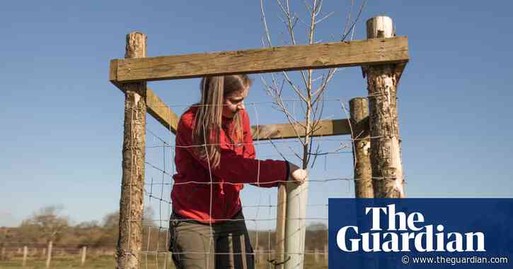 National Trust creates living gene bank of endangered native black poplar