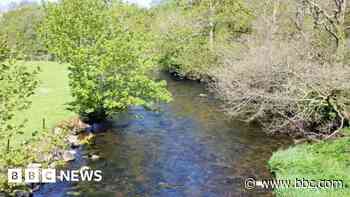 Water quality falls in two more protected river networks