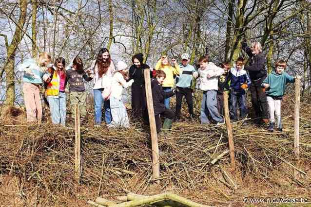 Zesdejaars van GBS De Plataan leren en werken in de natuur