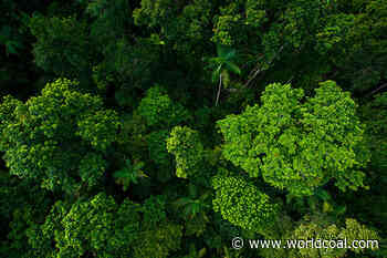 Mining without emissions: The future of decarbonised operations in the coal industry