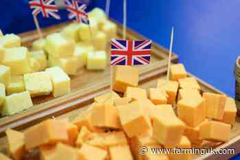 UK food exports to EU plummet due to 'complexity and bureaucracy'