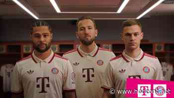 #GegenHassImNetz: Telekom und FC Bayern warnen vor Fake News