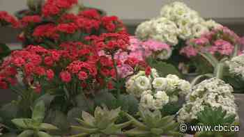 Tips on getting a head start on gardening season