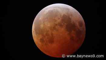 Total Lunar Eclipse: Blood Moon dazzles Florida’s night sky