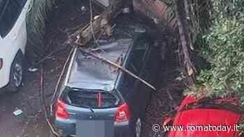 Magliana, grossi rami cadono e danneggiano auto in sosta