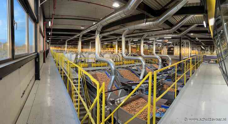 MPS Onions verscheept bijna 200.000 ton uien via Vlissingen