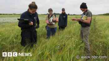 Hopes East West Rail will accept land's new status