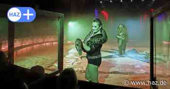 Zirkus bringt wilde Tiere mit nach Langenhagen: Linke und Piraten fordern Verbot