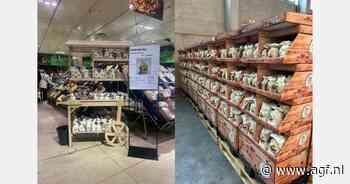 "Pili-noten bleken onverwachts zeer populair als voeding voor papegaaien"