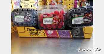 Meer Griekse frambozen en bramen op EU-markt