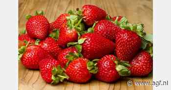 Van Herk Fruit stopt er na 25 jaar mee