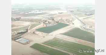 Aanbod Spaanse vollegrondsgroenten en meloenen onder druk door regen